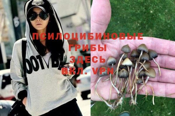 MDMA Богданович